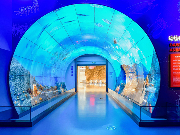 02云南某自然博物馆.jpg